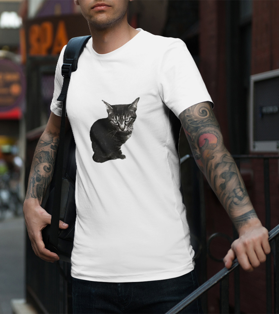 Smileymaya15 How Long Have I Been Here Kitten Cat Black Gray Tabby T-Shirt