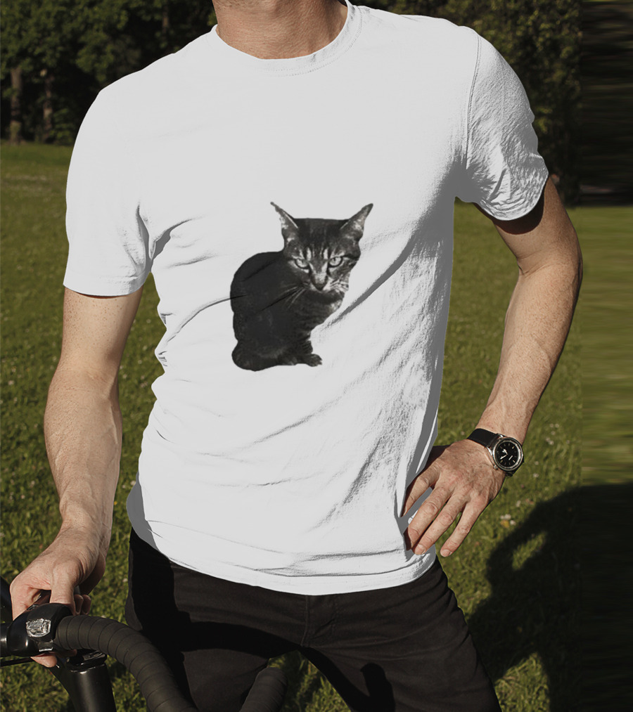 Smileymaya15 How Long Have I Been Here Kitten Cat Black Gray Tabby T-Shirt