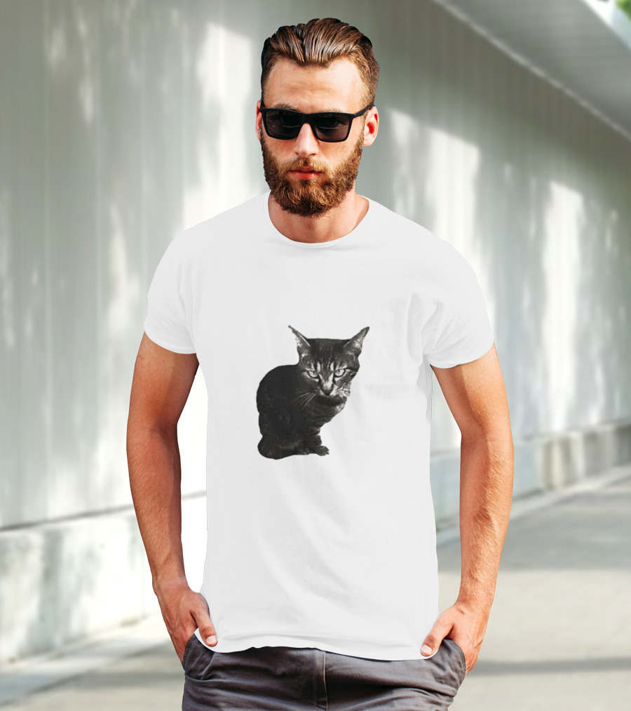 Smileymaya15 How Long Have I Been Here Kitten Cat Black Gray Tabby T-Shirt