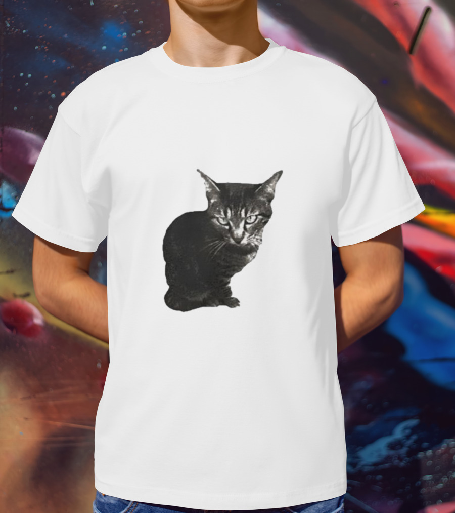 Smileymaya15 How Long Have I Been Here Kitten Cat Black Gray Tabby T-Shirt