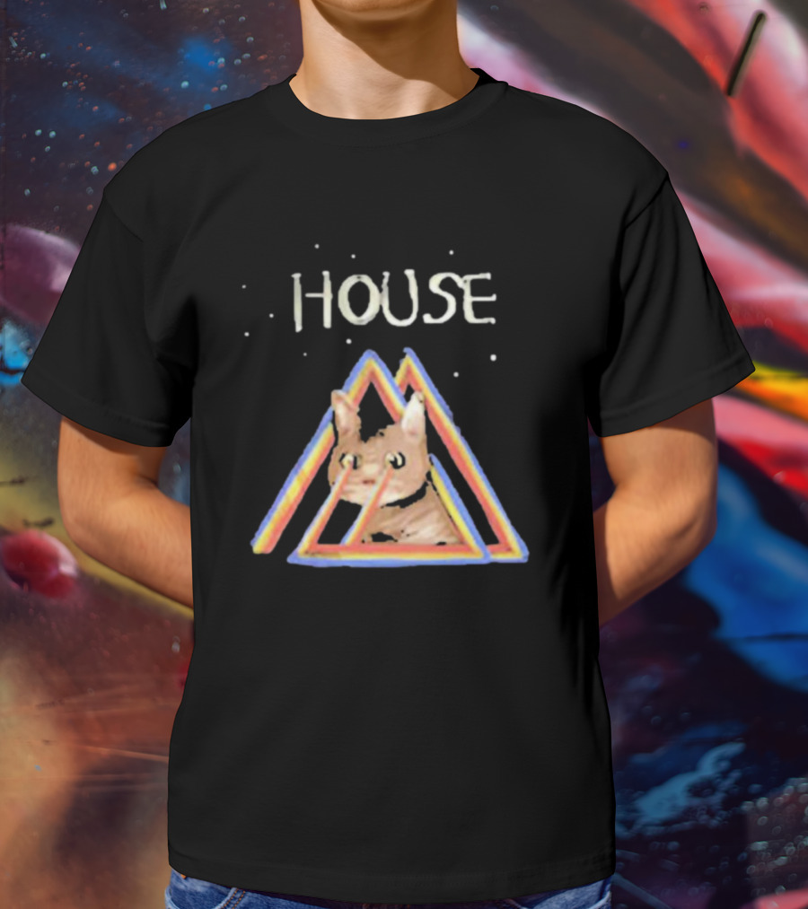 House Rainbow Triangle Cat T-Shirt