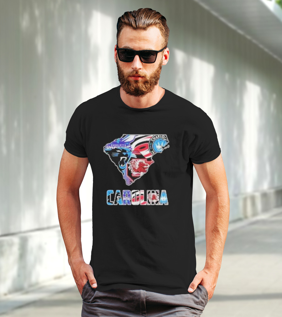 Carolina Panthers South Carolina Gamecocks Charlotte FC Hurricanes Carolina T-Shirt