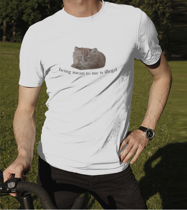 Being Mean To Me Is Illegal Cute Orange Cat T-Shirt