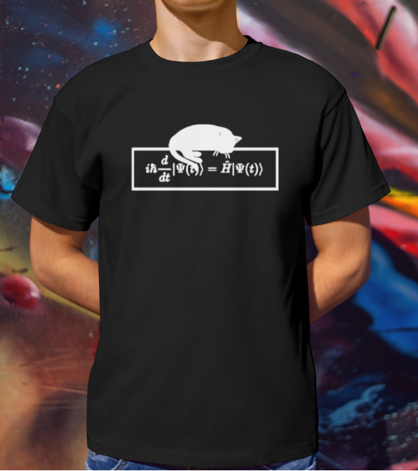 Schrodinger Equation Cat Quantum Physics Humor Psi Function T-Shirt