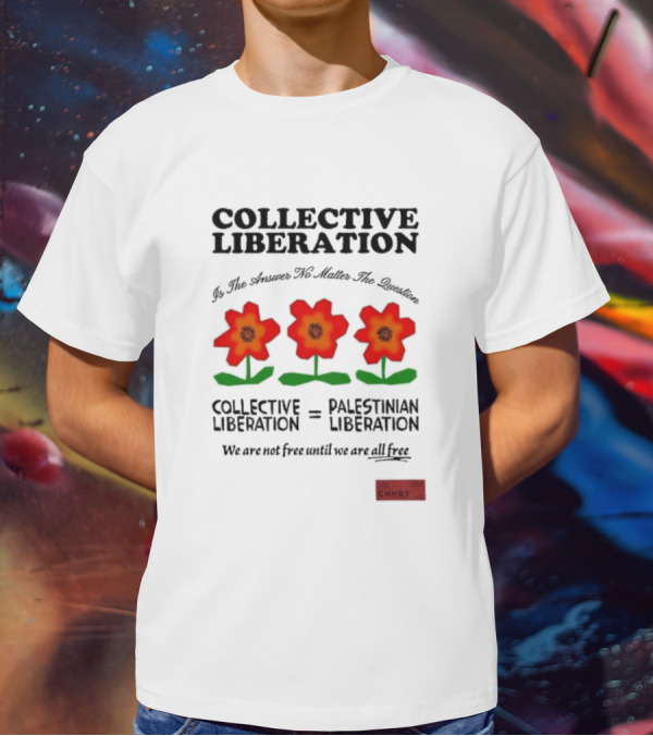 Collective Liberation Palestinian Liberation We Are Not Free Until We Are All Free T-Shirt