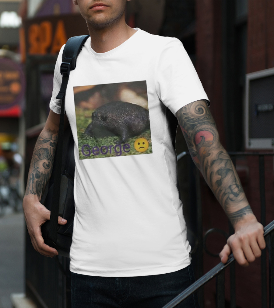 George Sad Frog Meme Inspired Image T-Shirt