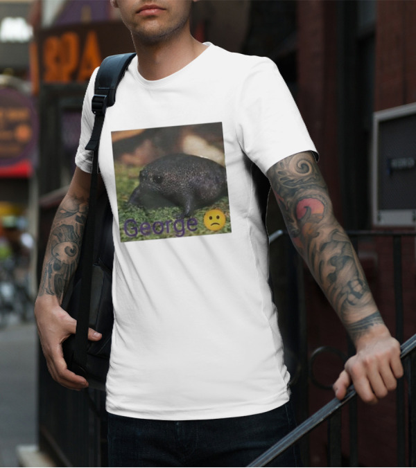 George Sad Frog Meme Inspired Image T-Shirt