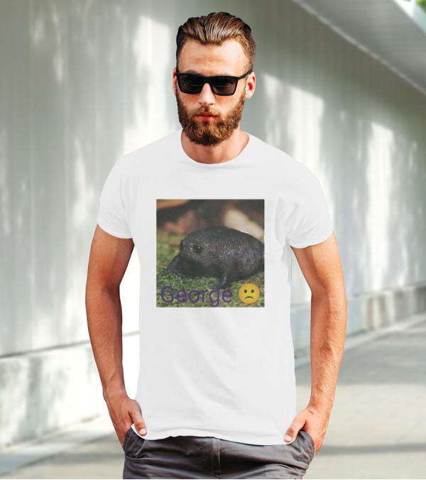 George Sad Frog Meme Inspired Image T-Shirt