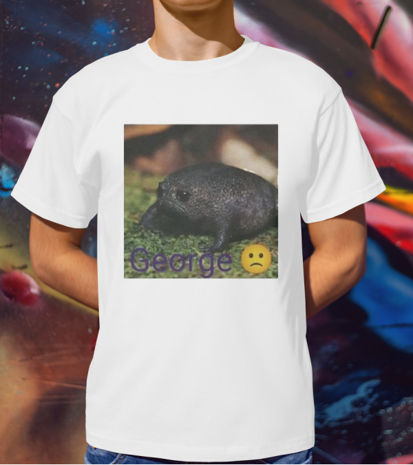 George Sad Frog Meme Inspired Image T-Shirt
