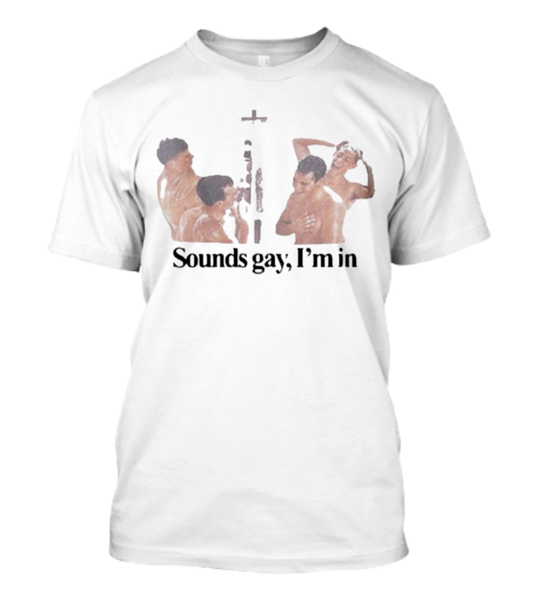 Sounds Gay I'm In Black Shirt With Artistic Male Group T-Shirt