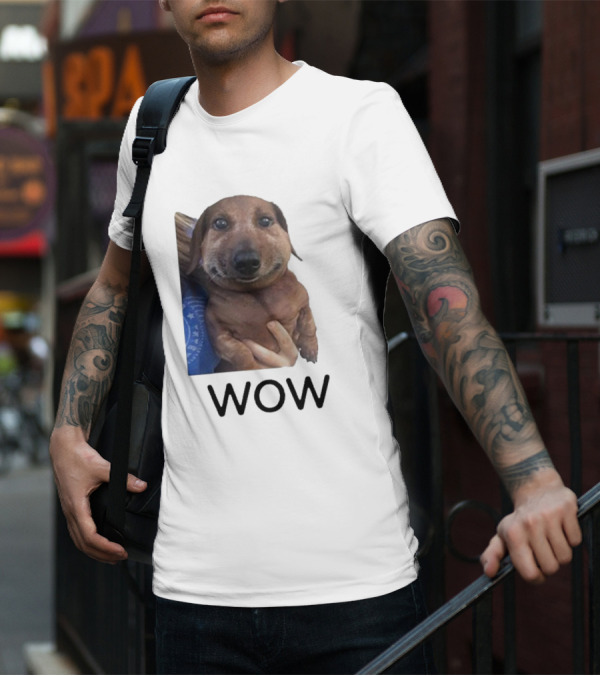 Fallenchungus Wow Dog Meme With Funny Expression T-Shirt