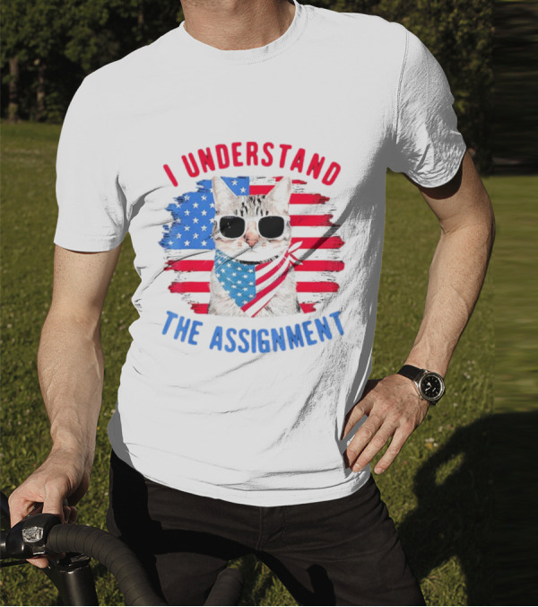 I Understand The Assignment Cat With American Flag Sunglasses And Scarf T-Shirt