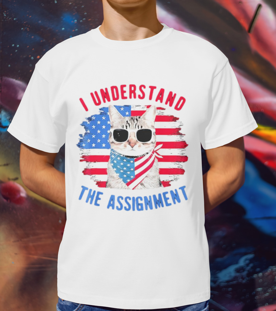 I Understand The Assignment Cat With American Flag Sunglasses And Scarf T-Shirt