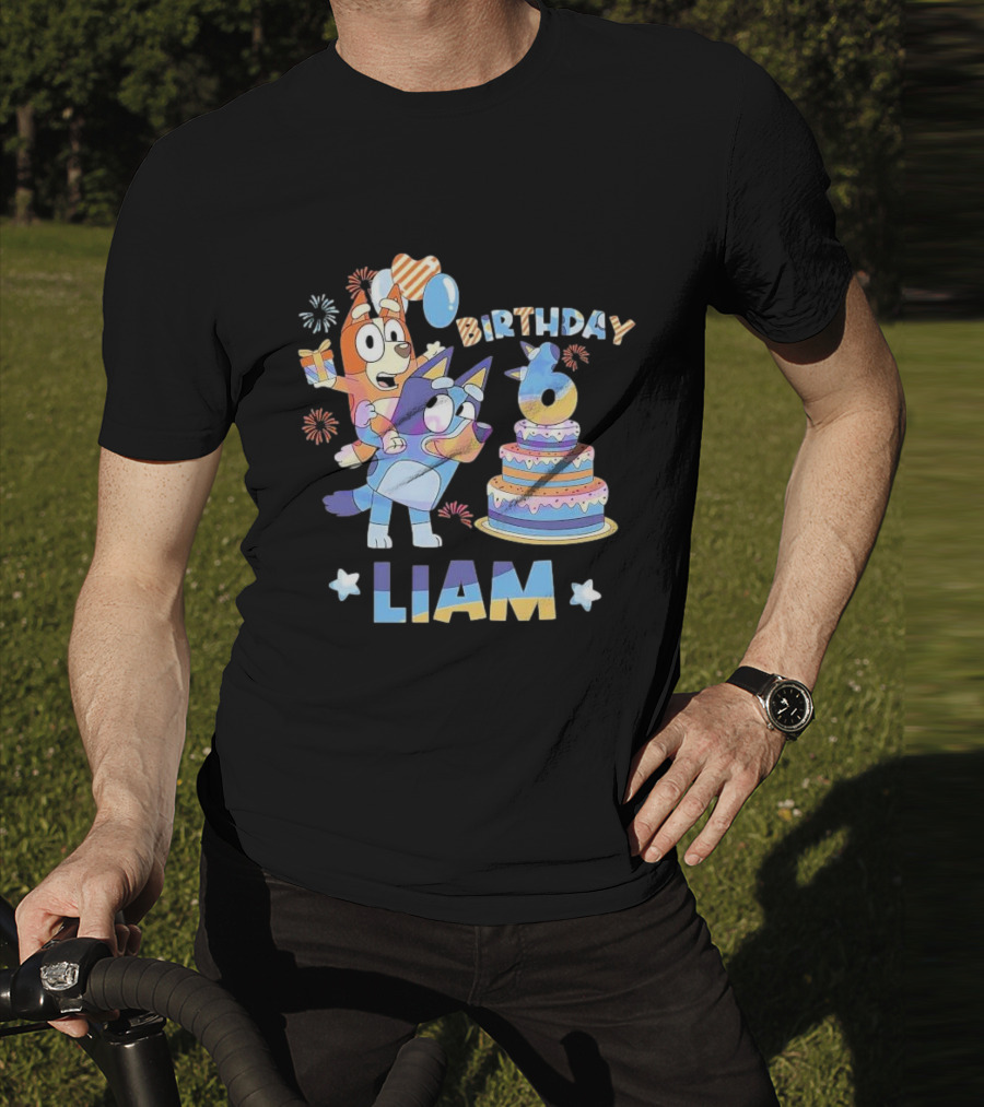 Birthday 6 Liam Funny It's My Birthday T-Shirt