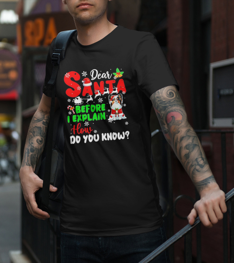 Dear Santa Before I Explain How Do You Know Santa Hat Reindeer Dog Xmas T-Shirt