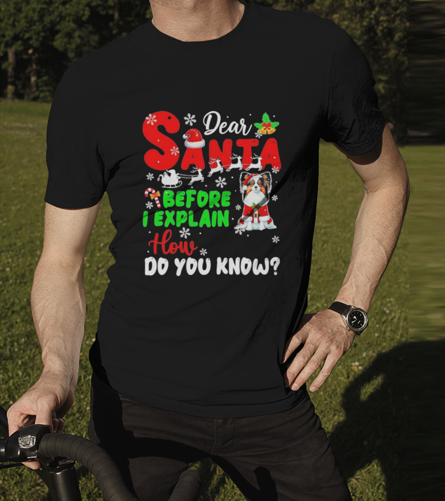 Dear Santa Before I Explain How Do You Know Santa Hat Reindeer Dog Xmas T-Shirt