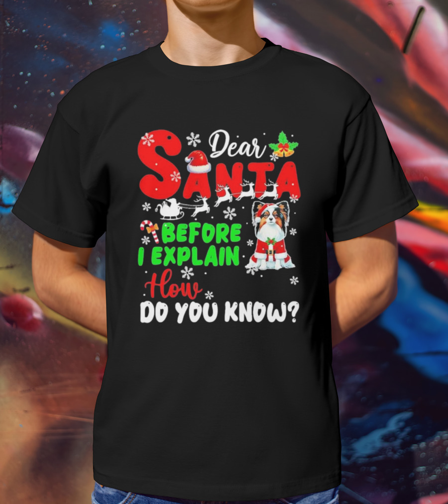 Dear Santa Before I Explain How Do You Know Santa Hat Reindeer Dog Xmas T-Shirt