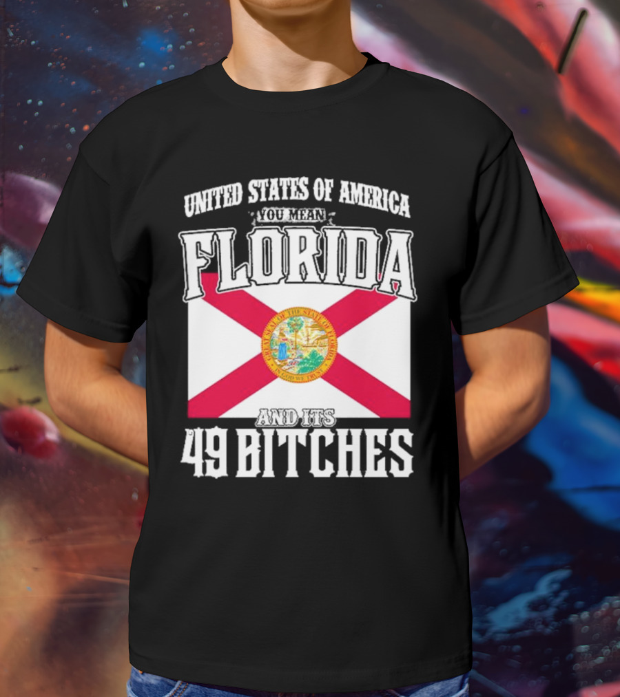 United States Of America You Mean Florida And Its 49 Bitches Flag T-Shirt