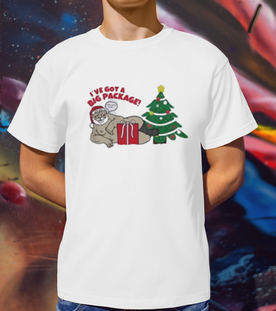 I've Got A Big Package Santa's Tree Smash Ugly Christmas T-Shirt
