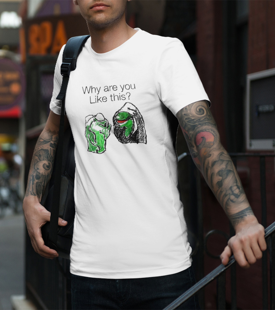 Why Are You Like This Meme Frog Hoodie Inner Self Conflict T-Shirt