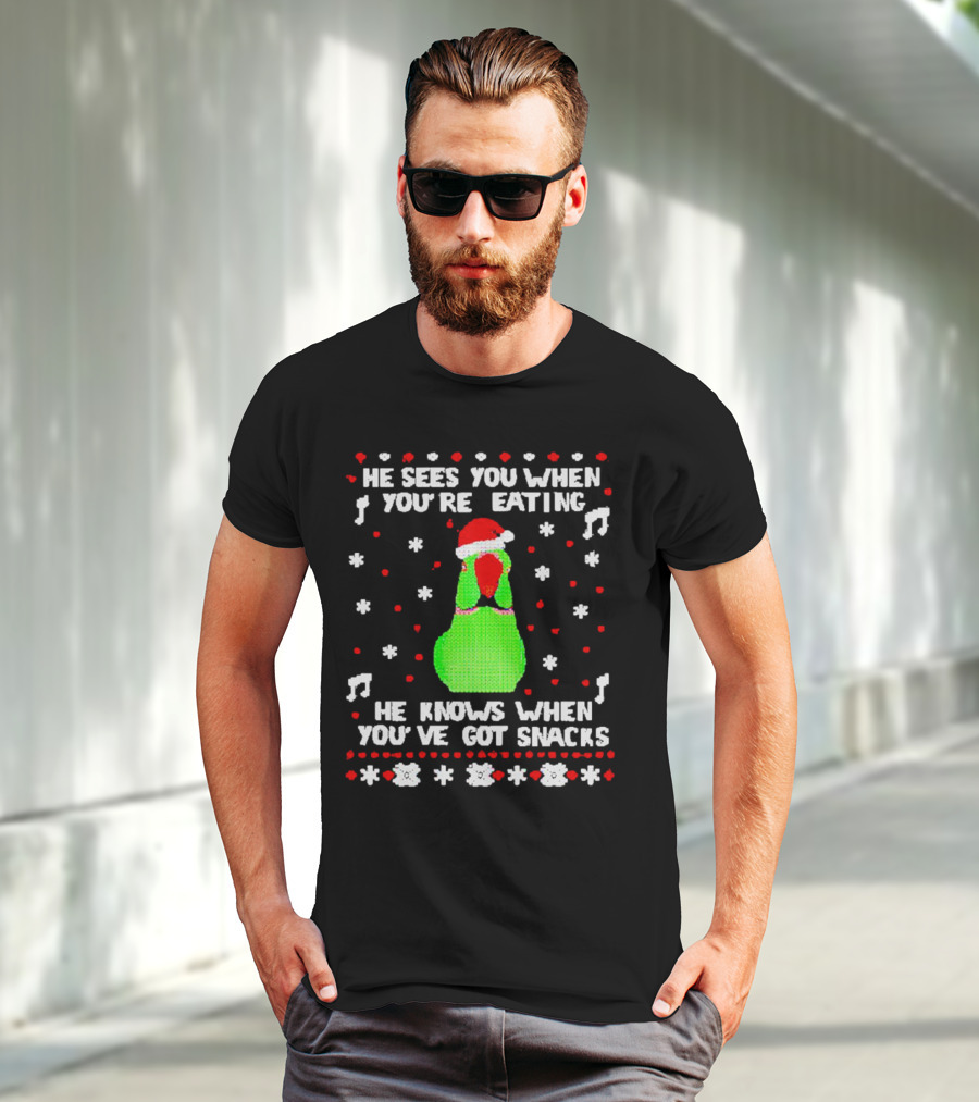 Parrot Ugly Christmas He Sees You When You’re Eating He Knows When You’ve Got Snacks T-Shirt