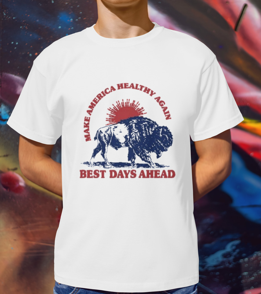 Make America Healthy Again Best Days Ahead Buffalo Bison Sunburst T-Shirt
