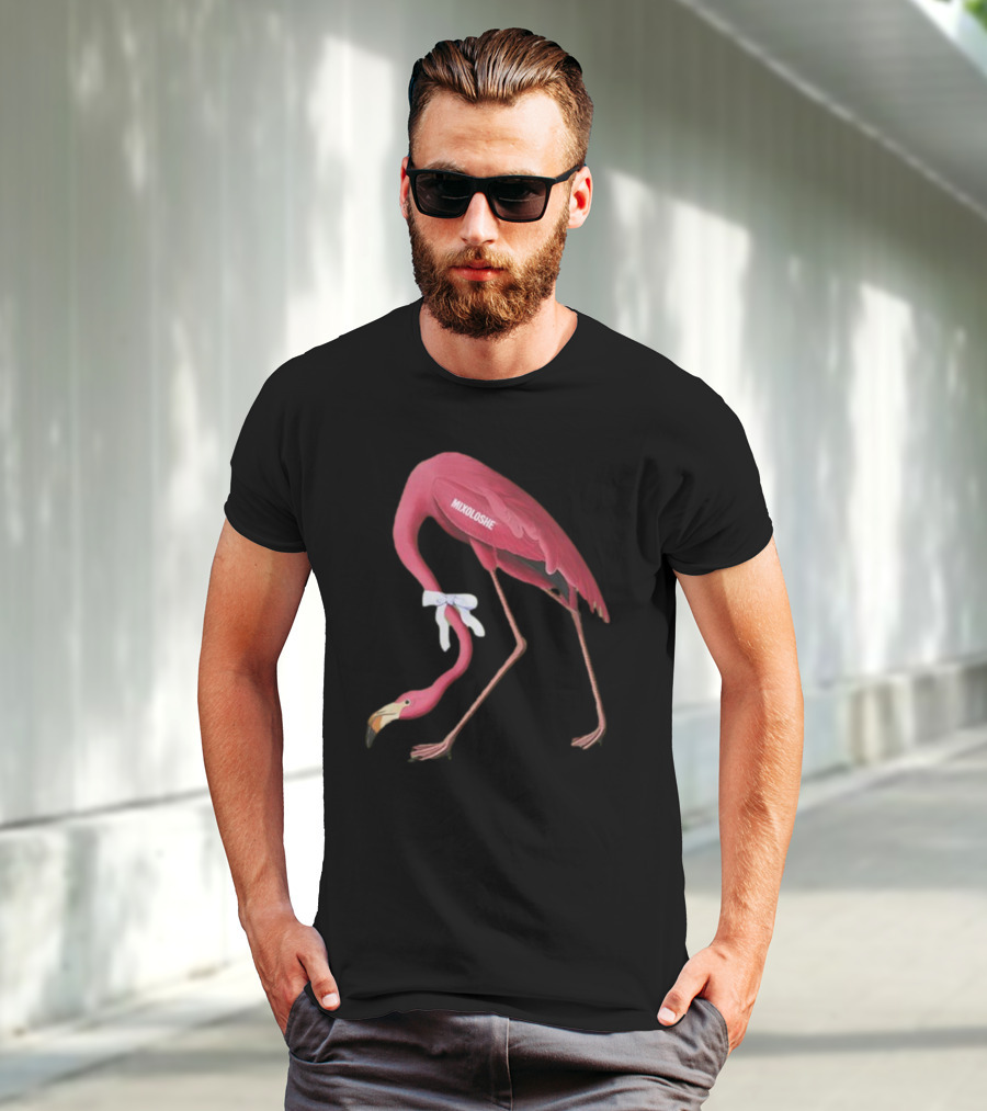 Mixoloshe Flamingo Team Crewneck T-Shirt