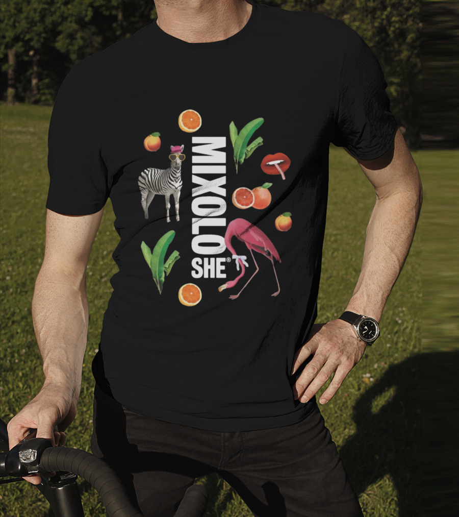 Mixoloshe Zebra Flamingo Lips With Fruits And Leaves T-Shirt