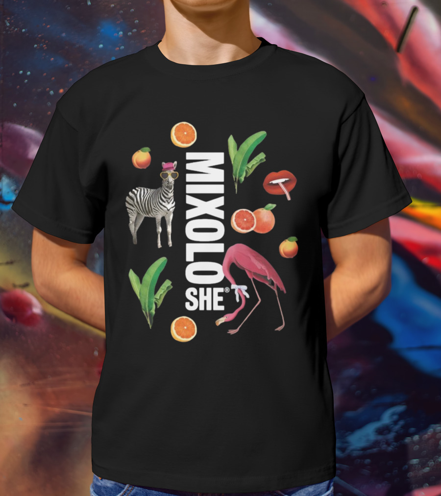 Mixoloshe Zebra Flamingo Lips With Fruits And Leaves T-Shirt