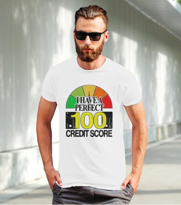 I Have A Perfect 100 Credit Score Gauge Graph T-Shirt