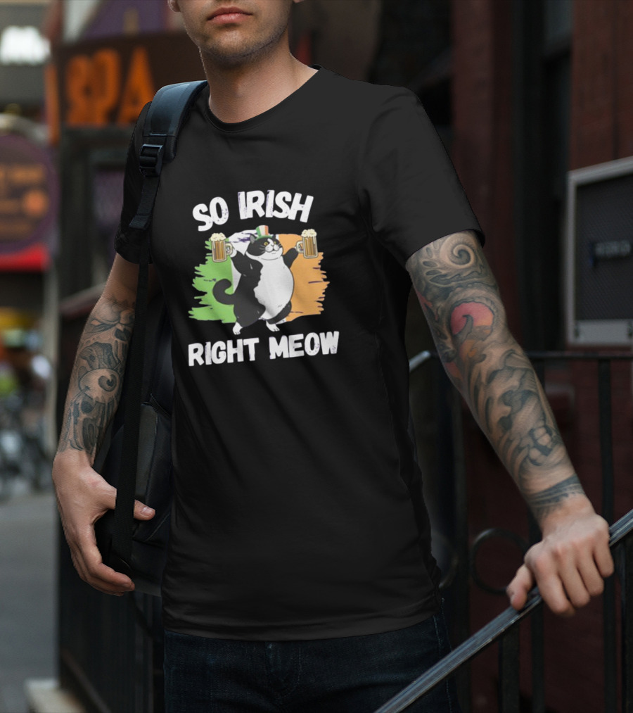 So Irish Right Meow Cat Holding Beer With Irish Flag In Background T-Shirt