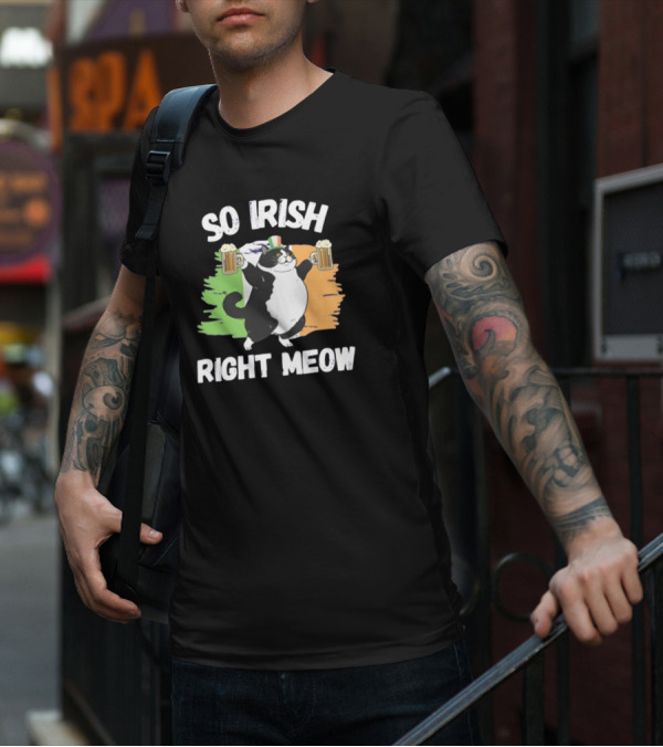 So Irish Right Meow Cat Holding Beer With Irish Flag In Background T-Shirt