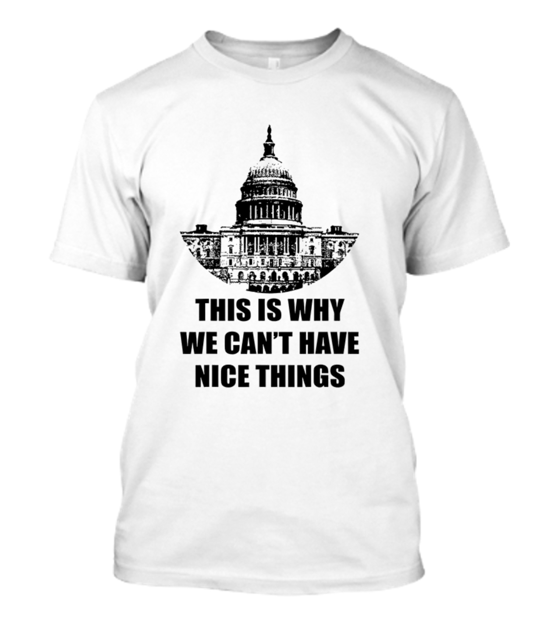This Is Why We Can’t Have Nice Things Resist Corrupt Society Rebellion T-Shirt