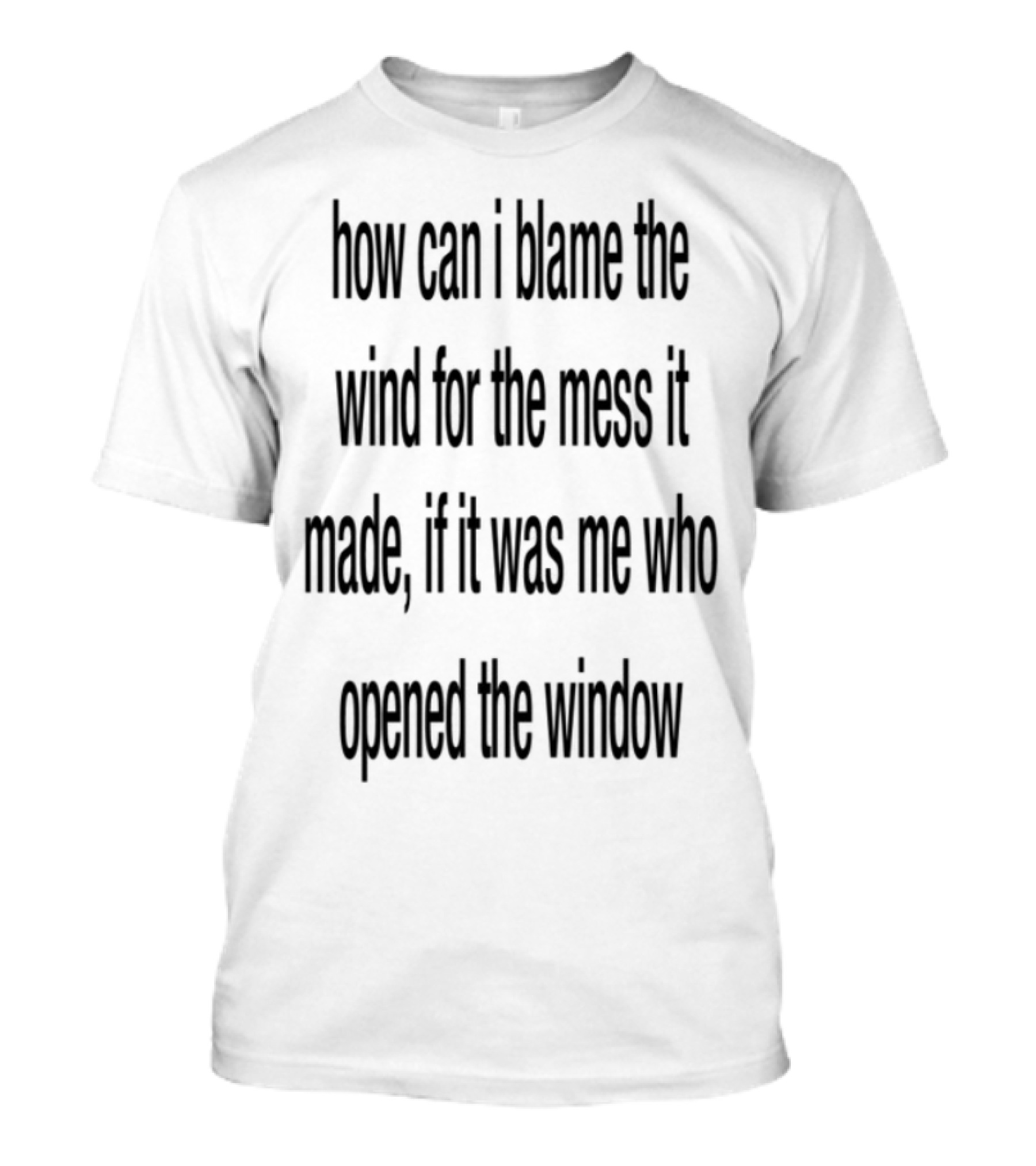 How Can I Blame The Wind For The Mess It Made Life Lessons Manifestations T-Shirt
