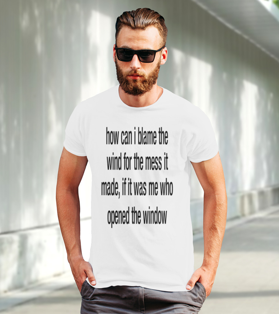 How Can I Blame The Wind For The Mess It Made Life Lessons Manifestations T-Shirt