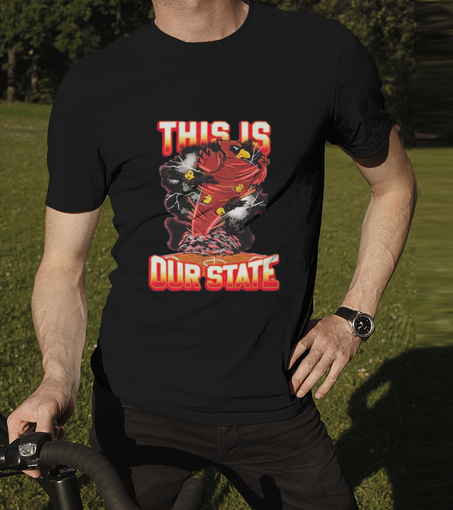 THIS IS OUR STATE Arizona Cardinals Official NFL Team Gear T-Shirt