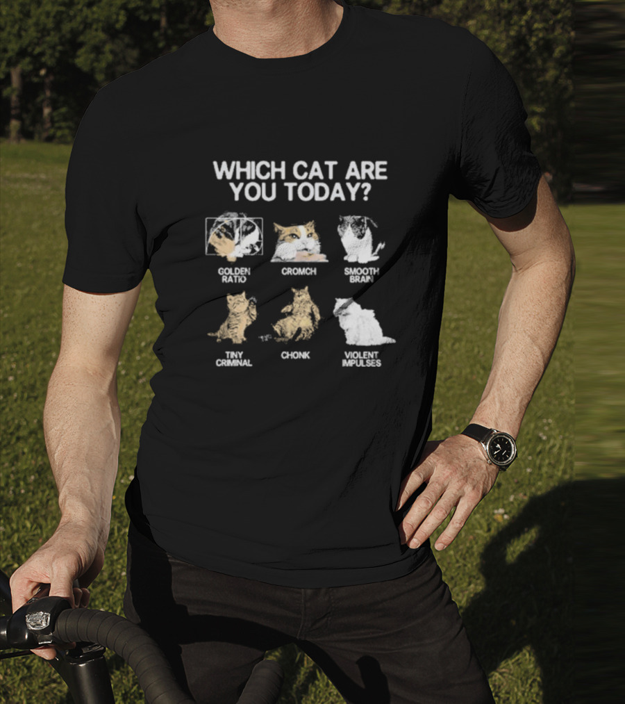 Which Cat Are You Today Golden Ratio Cromch Smooth Brain Tiny Criminal Chonk Violent Impulses T-Shirt