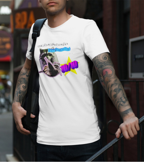 Words Can't Describe How Beautiful I Am But Numbers Can 10/10 Raccoon Star T-Shirt
