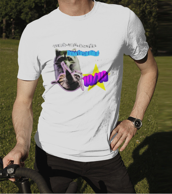 Words Can't Describe How Beautiful I Am But Numbers Can 10/10 Raccoon Star T-Shirt