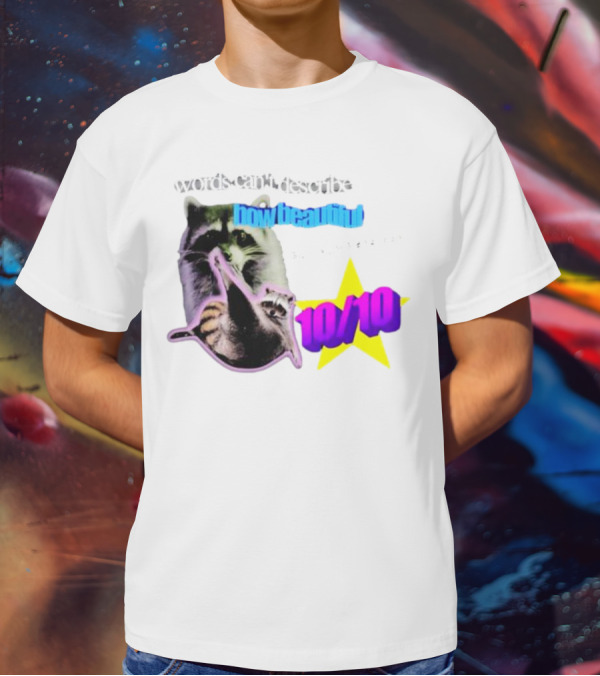 Words Can't Describe How Beautiful I Am But Numbers Can 10/10 Raccoon Star T-Shirt