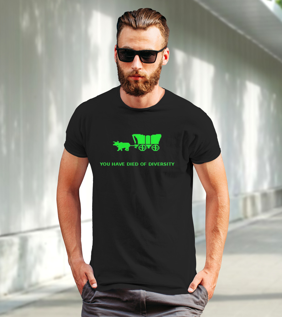 You Have Died Of Diversity Oregon Trail Pixel T-Shirt