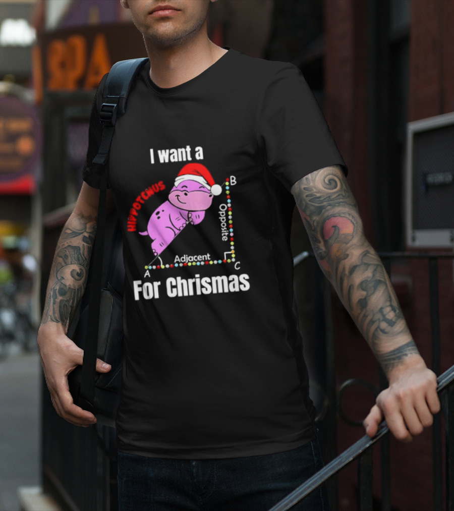 I Want A Hippotenuse ABC Adjacent Opposite For Christmas Cute Hippo T-Shirt