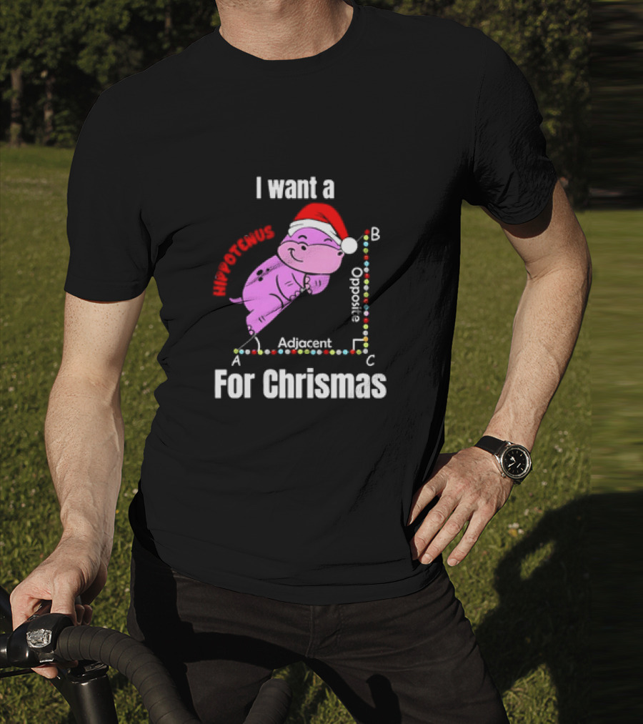 I Want A Hippotenuse ABC Adjacent Opposite For Christmas Cute Hippo T-Shirt