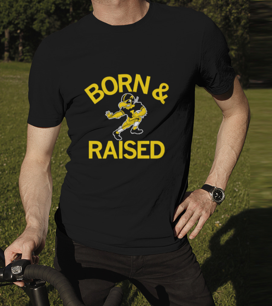 Iowa Hawkeyes Born And Raised Vintage Herky The Hawk T-Shirt