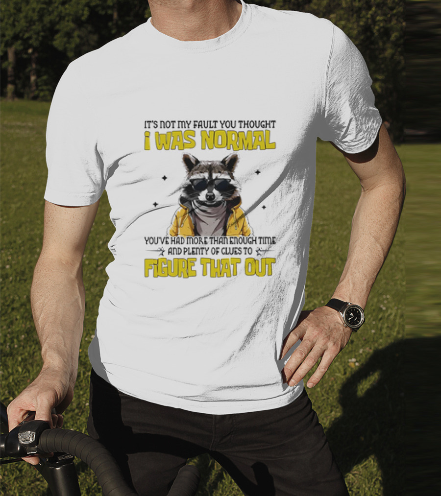 Raccoon It's Not My Fault You Thought I Was Normal You've Had More Than Enough Time And Plenty Of Clues To Figure That Out T-Shirt