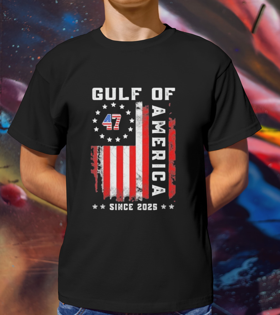 Gulf Of USA America Vintage USA Flag Grunged 2025 T-Shirt