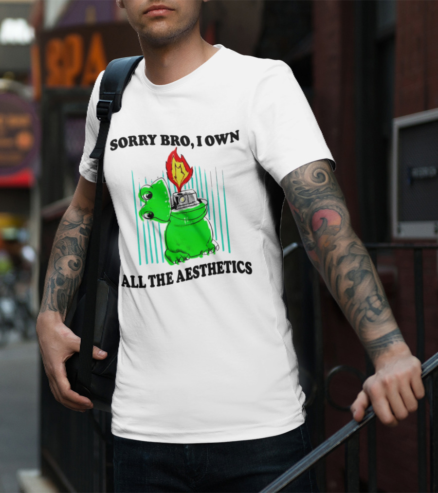 Sorry Bro I Own All The Aesthetics Melting Frog Lighter Flame T-Shirt
