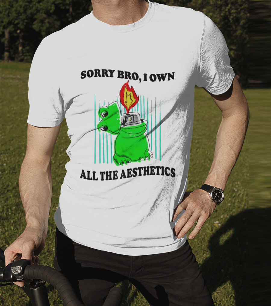 Sorry Bro I Own All The Aesthetics Melting Frog Lighter Flame T-Shirt