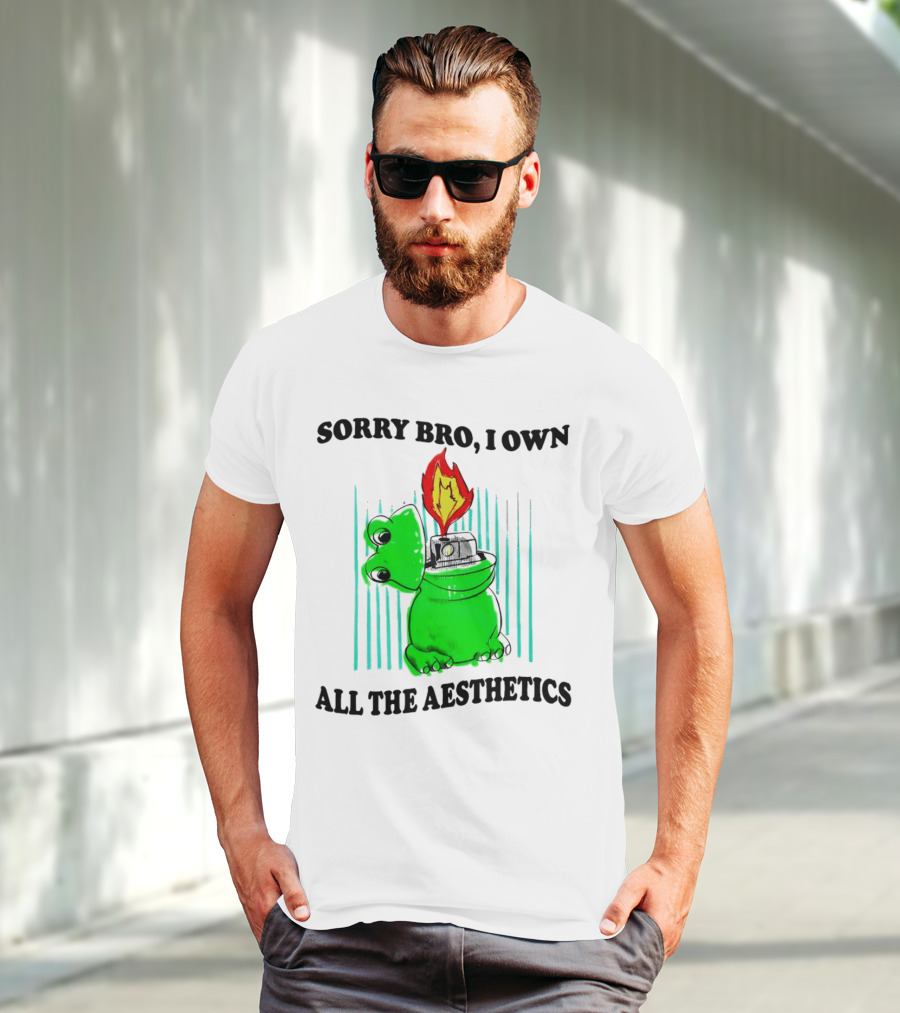 Sorry Bro I Own All The Aesthetics Melting Frog Lighter Flame T-Shirt