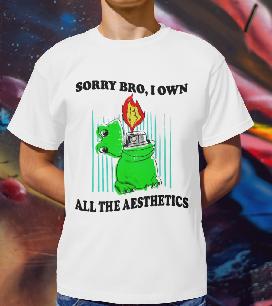 Sorry Bro I Own All The Aesthetics Melting Frog Lighter Flame T-Shirt